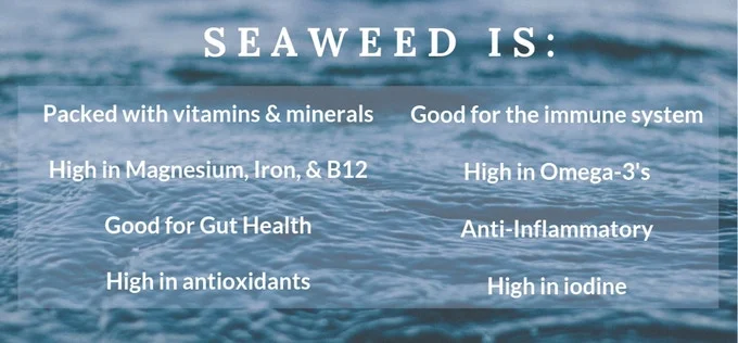 Seaweed info from Salt Point