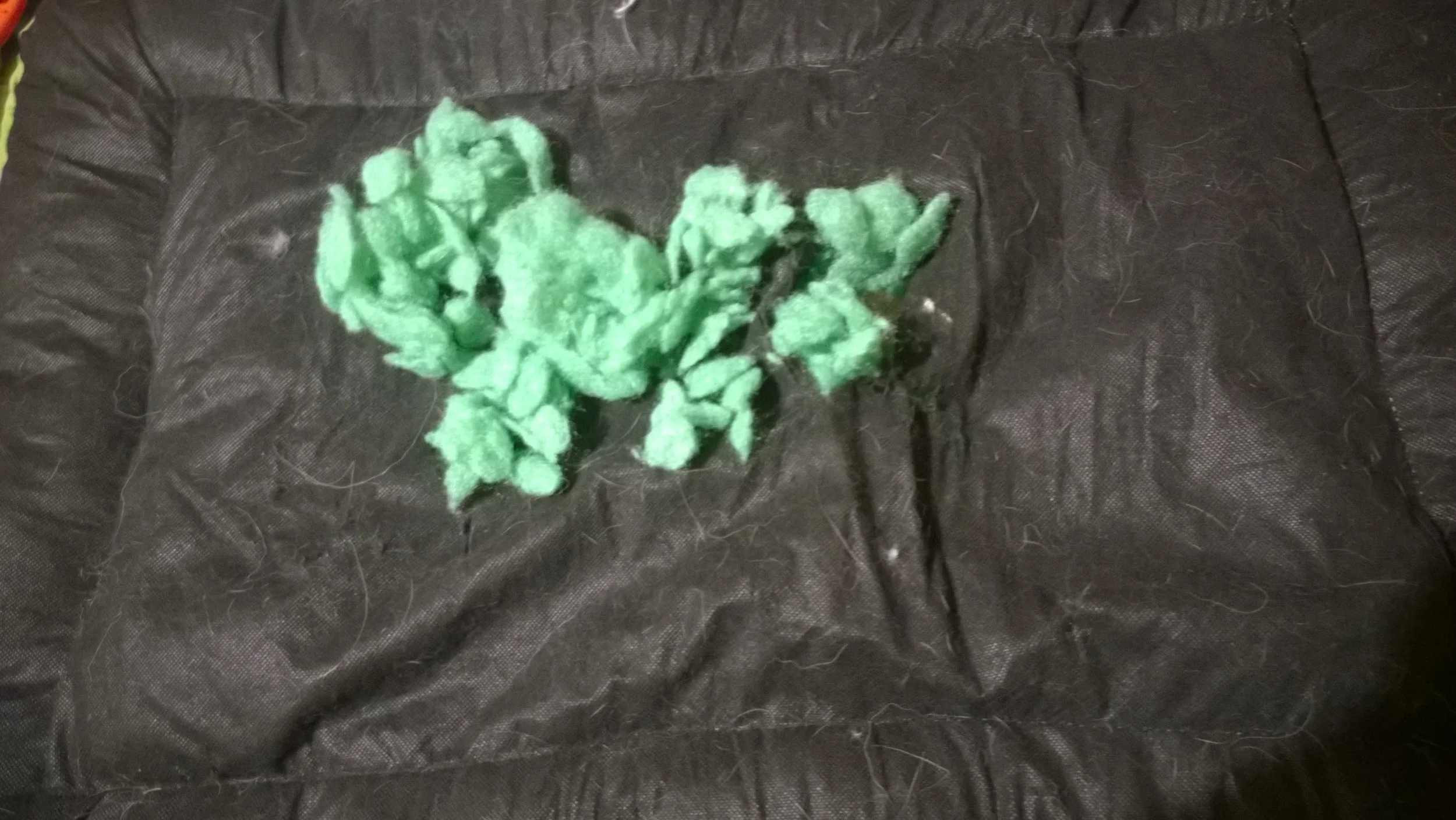 The unraveling work of the anti-apocalyptic angel-dog, stuffing chewed out of the dog bed.