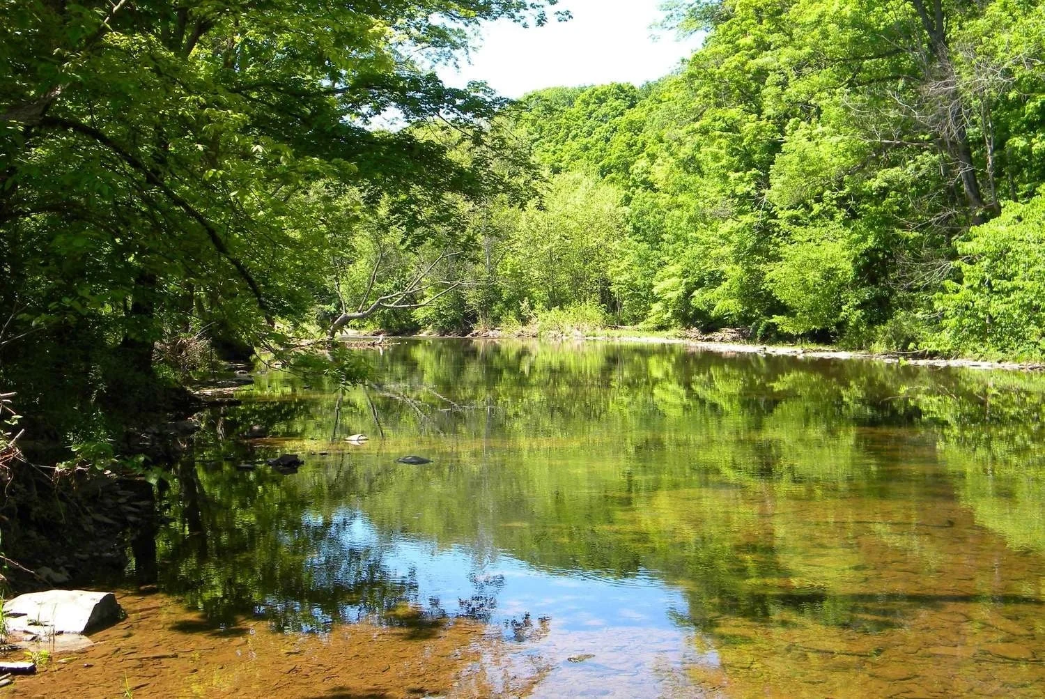  The Branch Creek