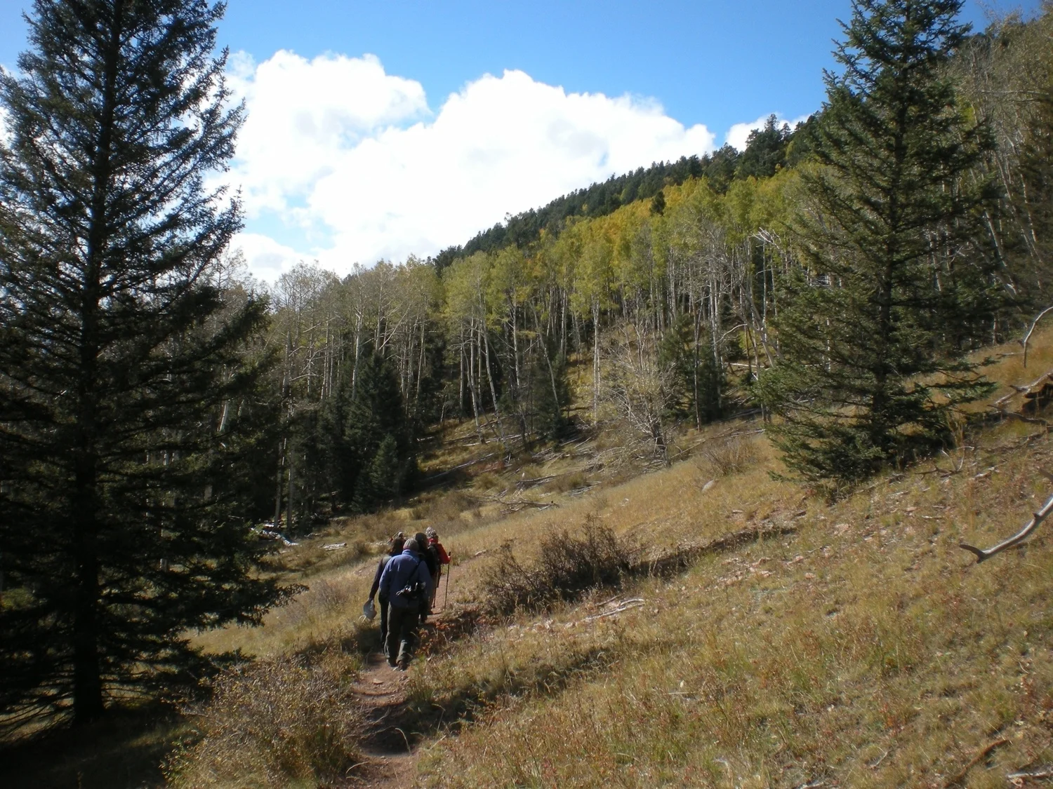 CDT North Los Pinos Trial.jpg