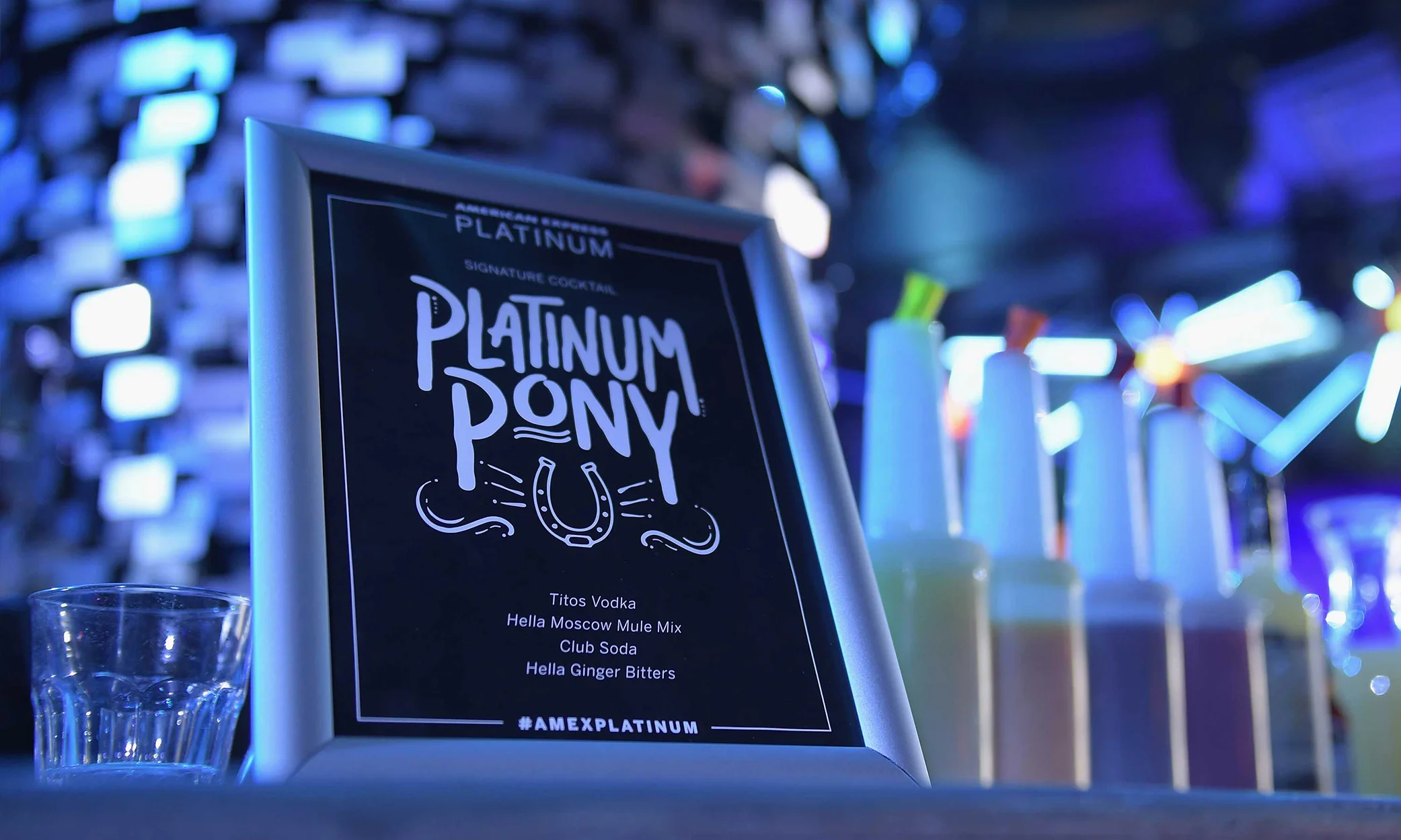 PlatinumPony.jpg