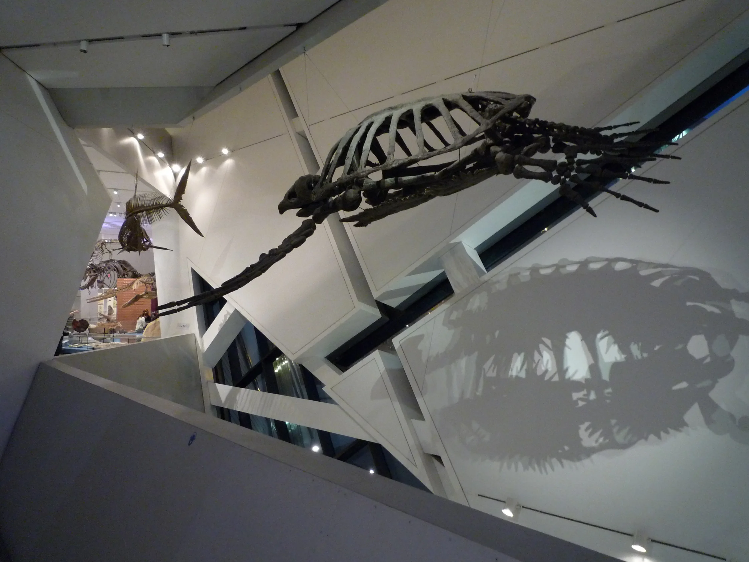 Royal Ontario Museum - Toronto, Canada - Daniel Libeskind 