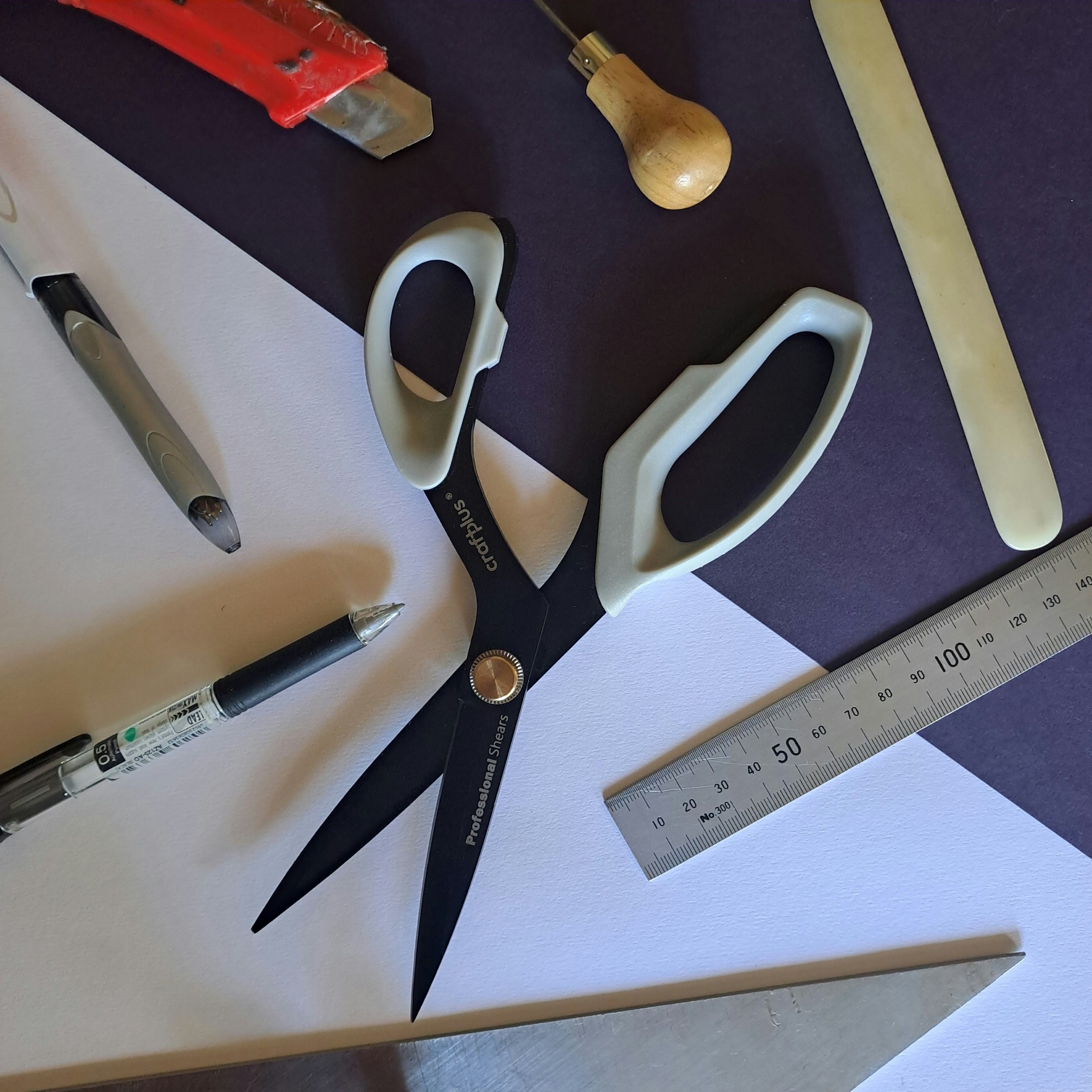 Stainless Steel Scissors