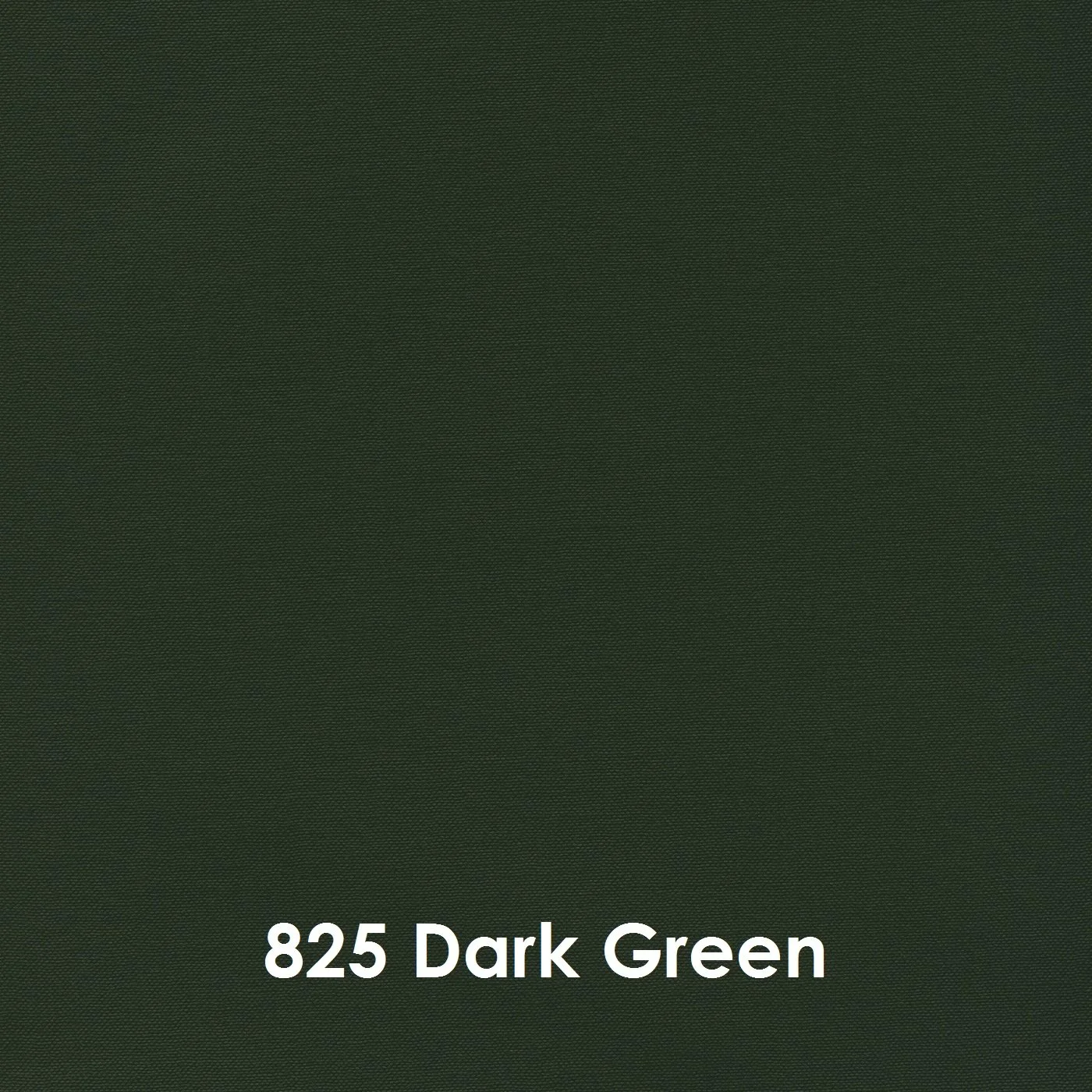 825 Dark Green.jpg
