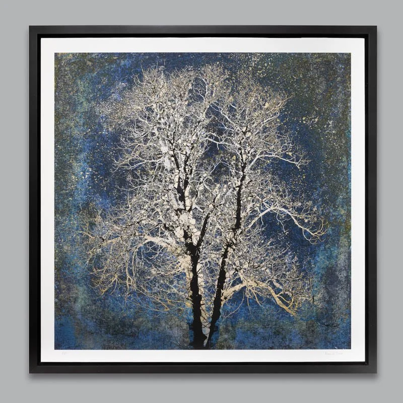 Mounted anf framed print