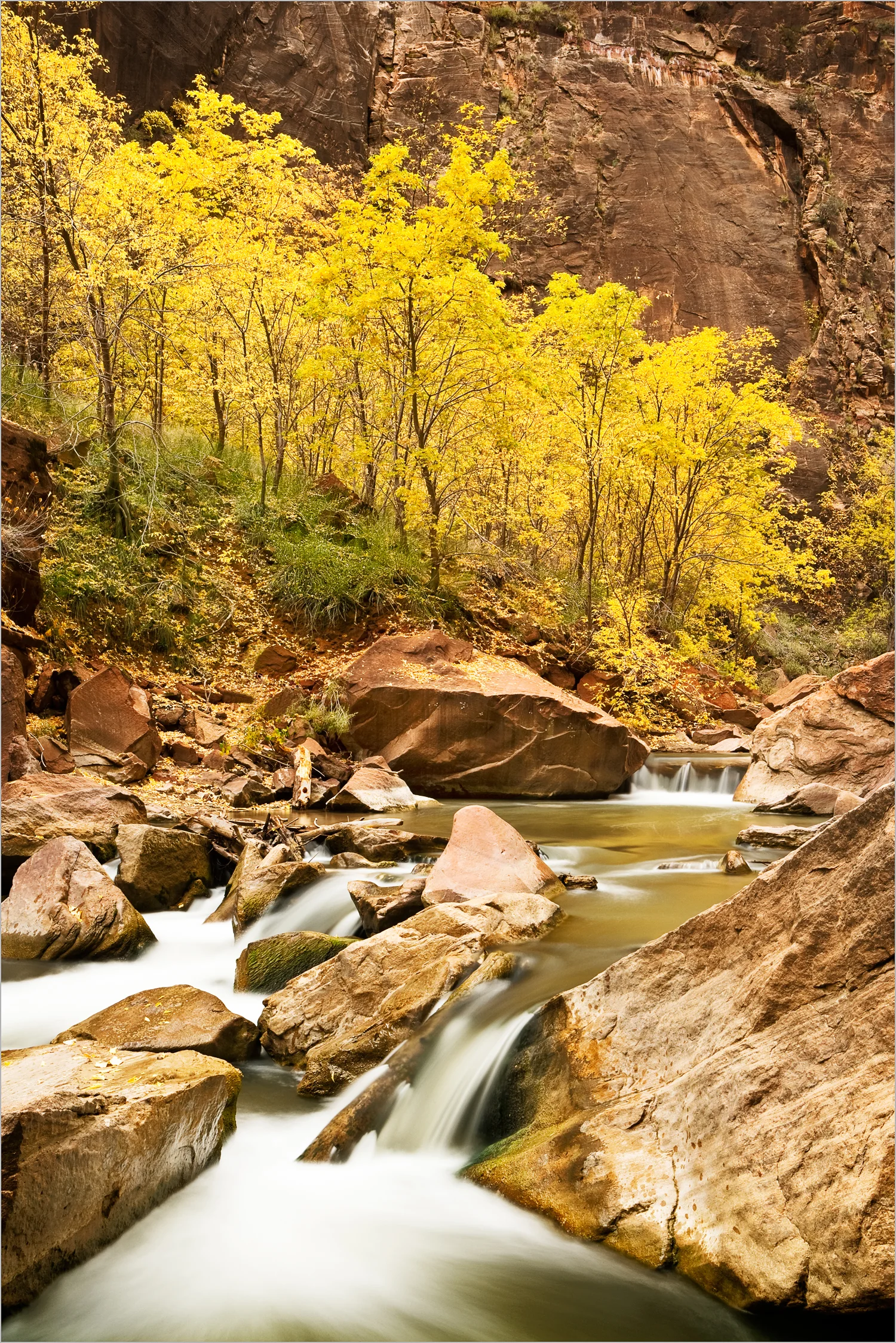 Zion