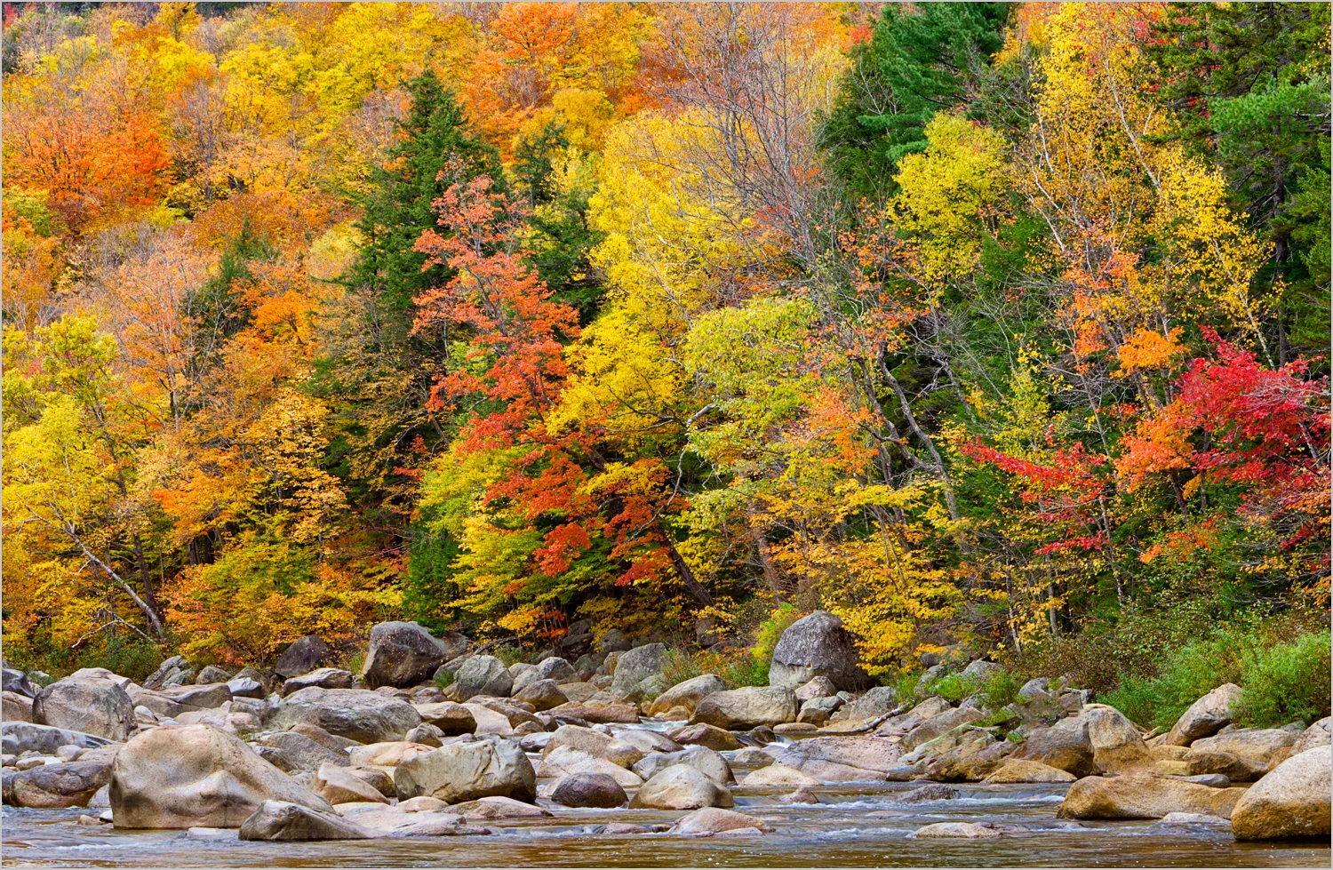 Fall In New Hampshire