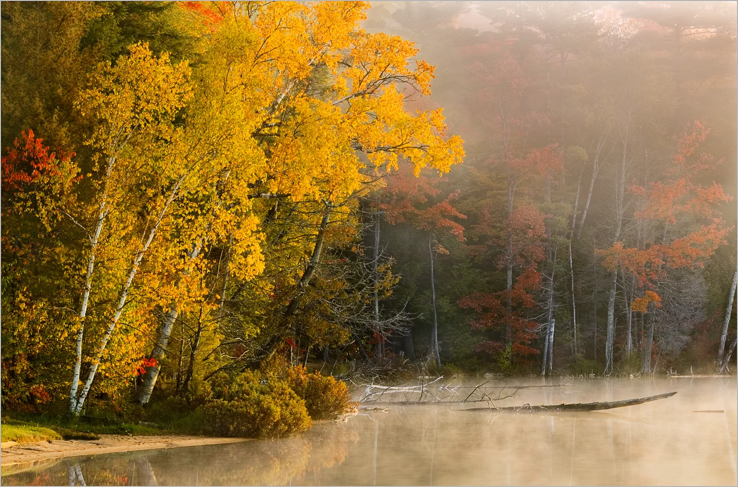 Autumn Mist
