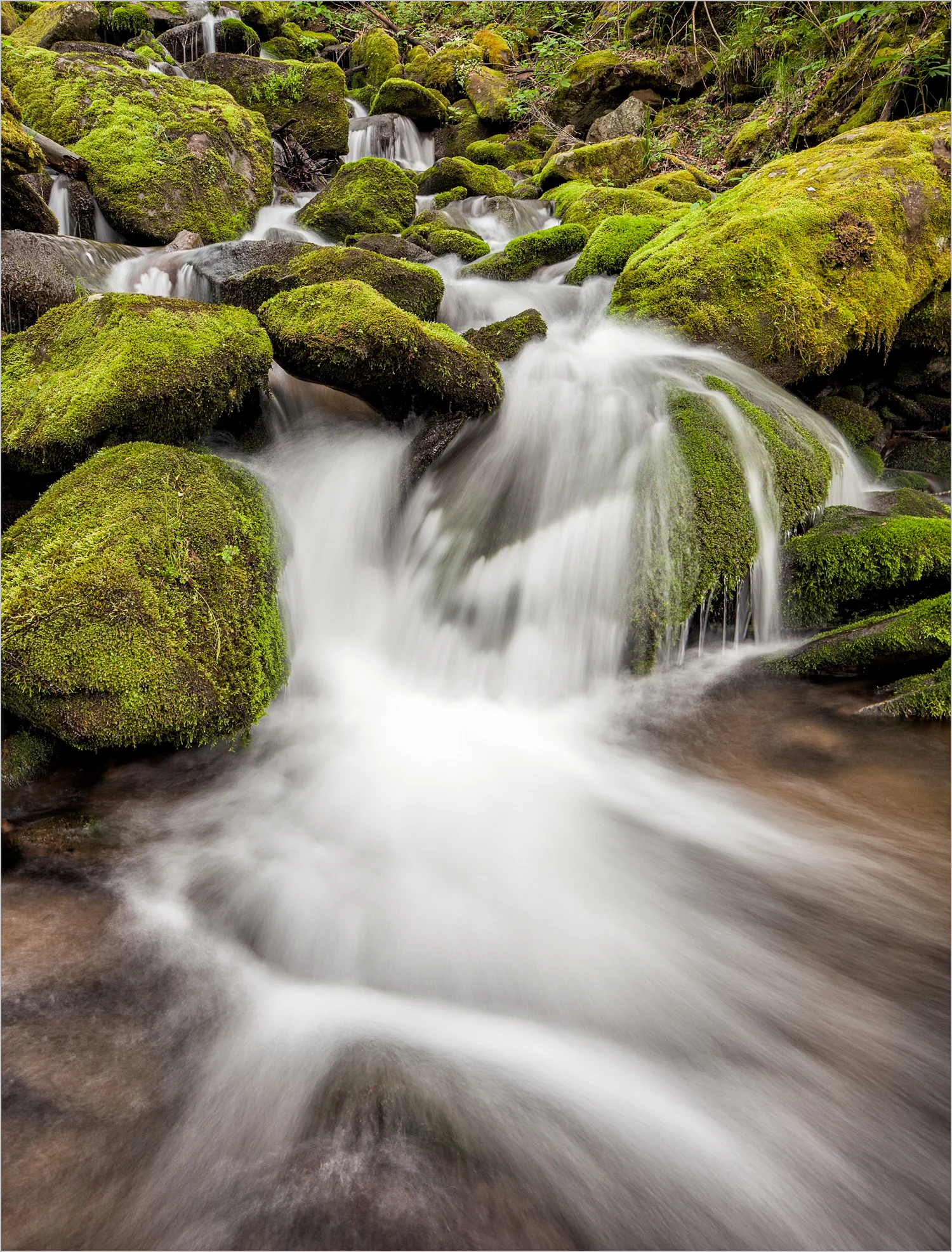 Noisy Creek Cascades