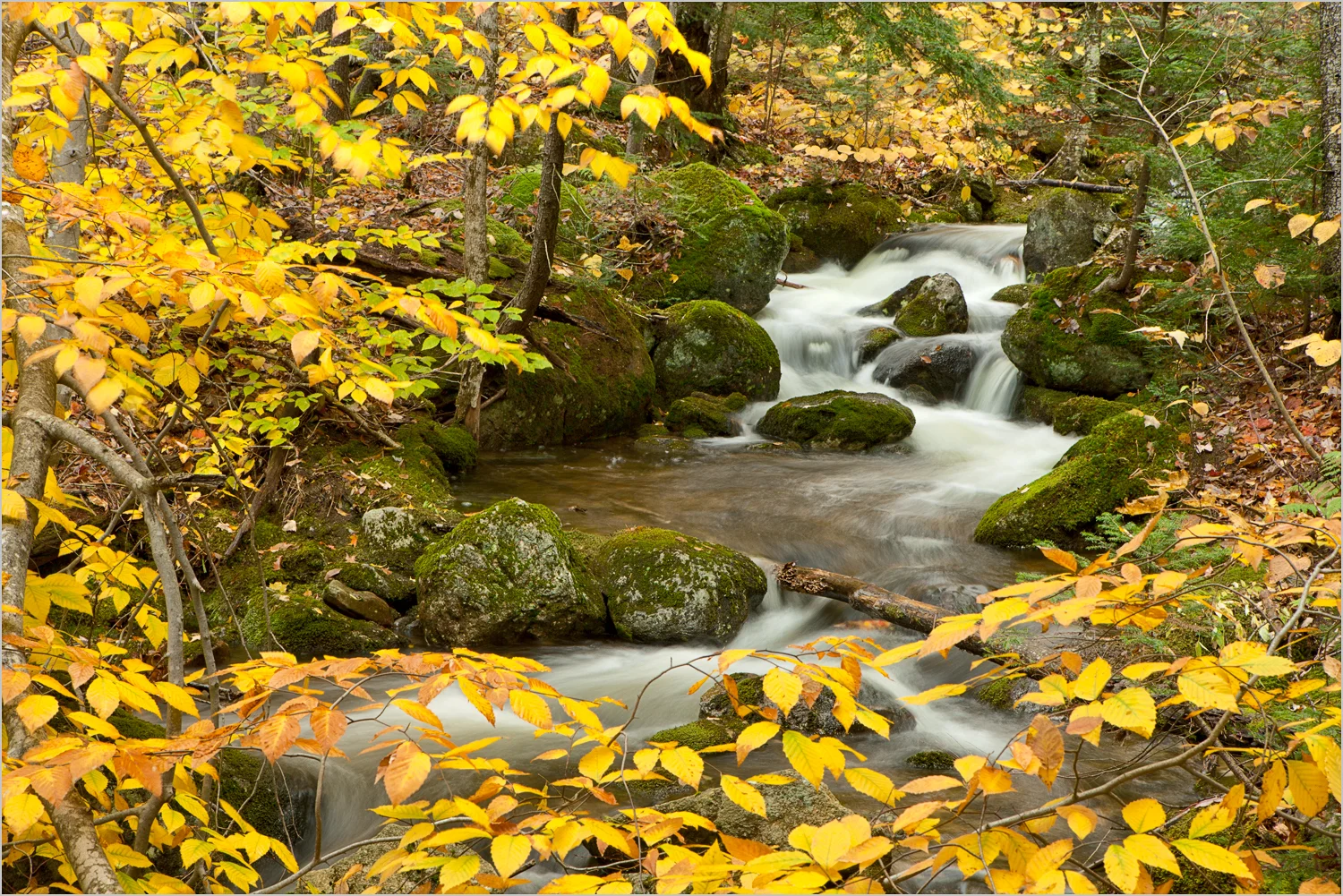 Appalachian Trail, New Hampshire