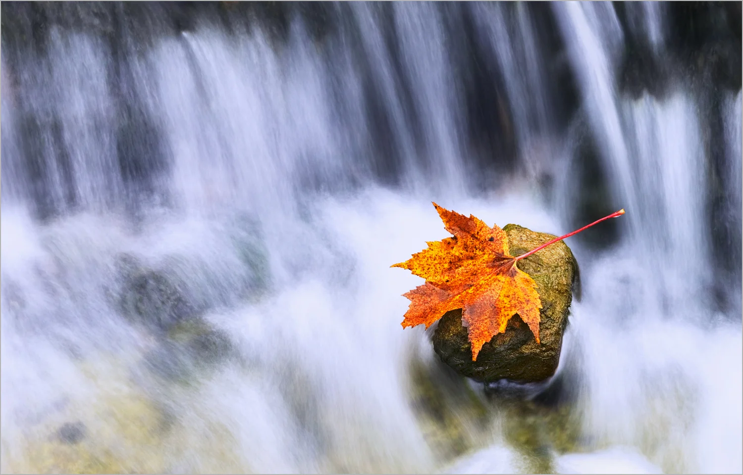 A fallen leaf lies on a rock in AuTrain Falls in Michigan's Upper Peninsula