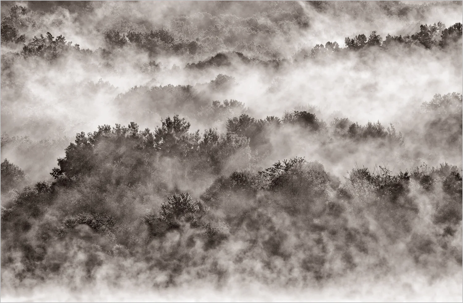 Morning Fog