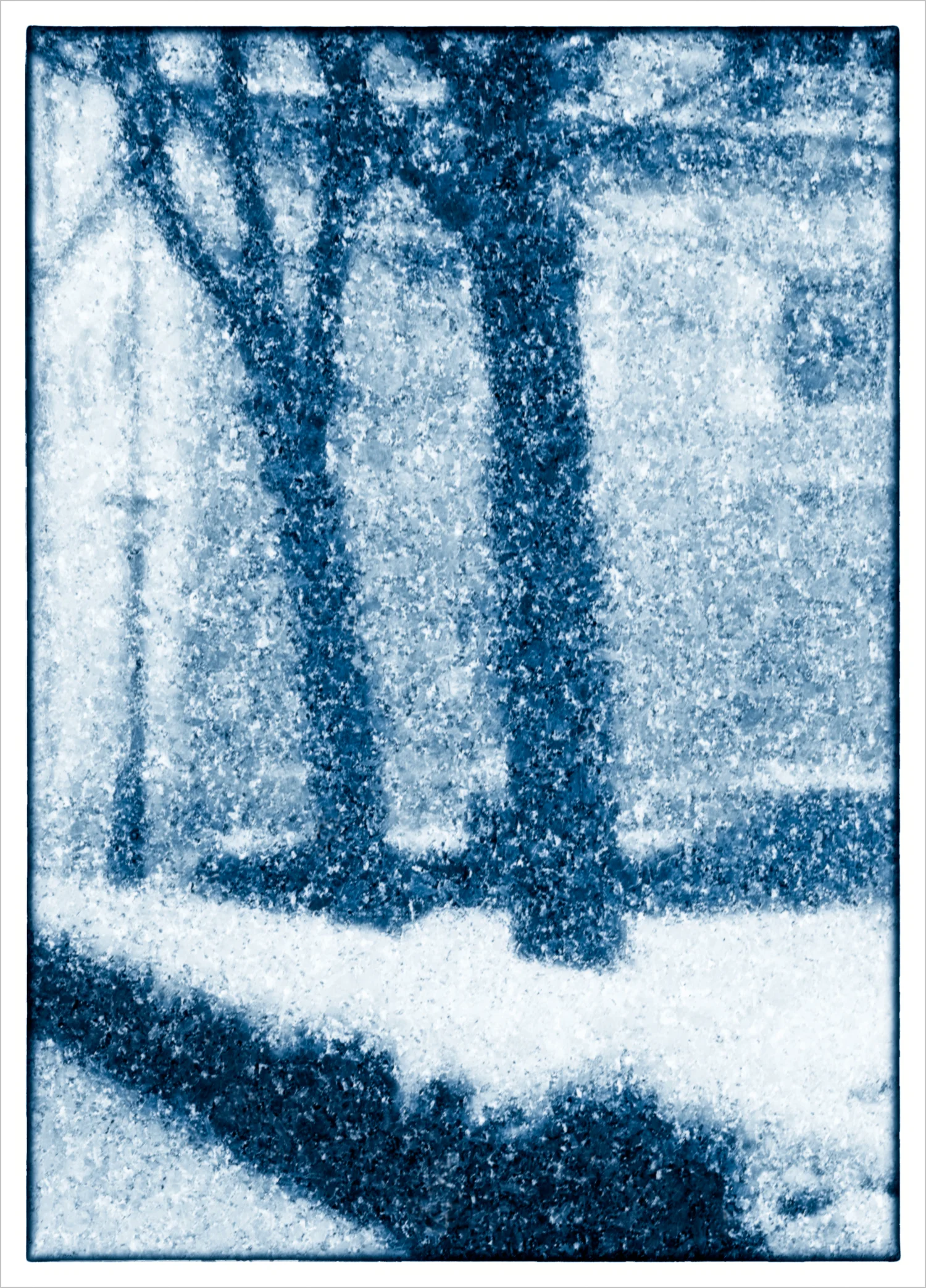 Snow © Howard Grill