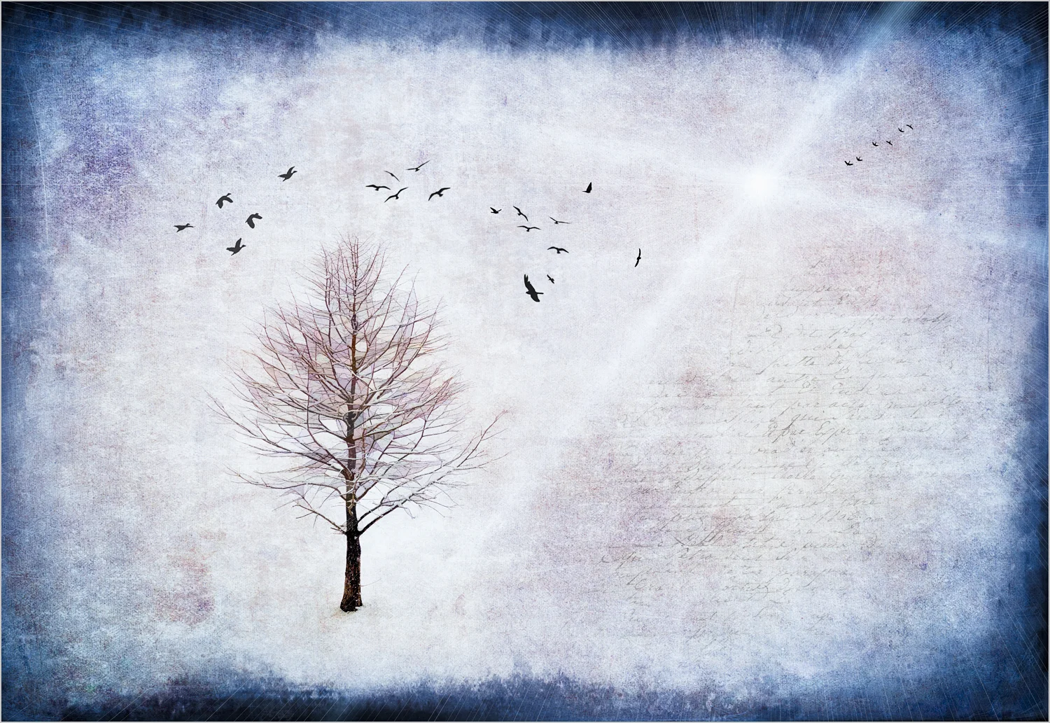 Tree And Birds