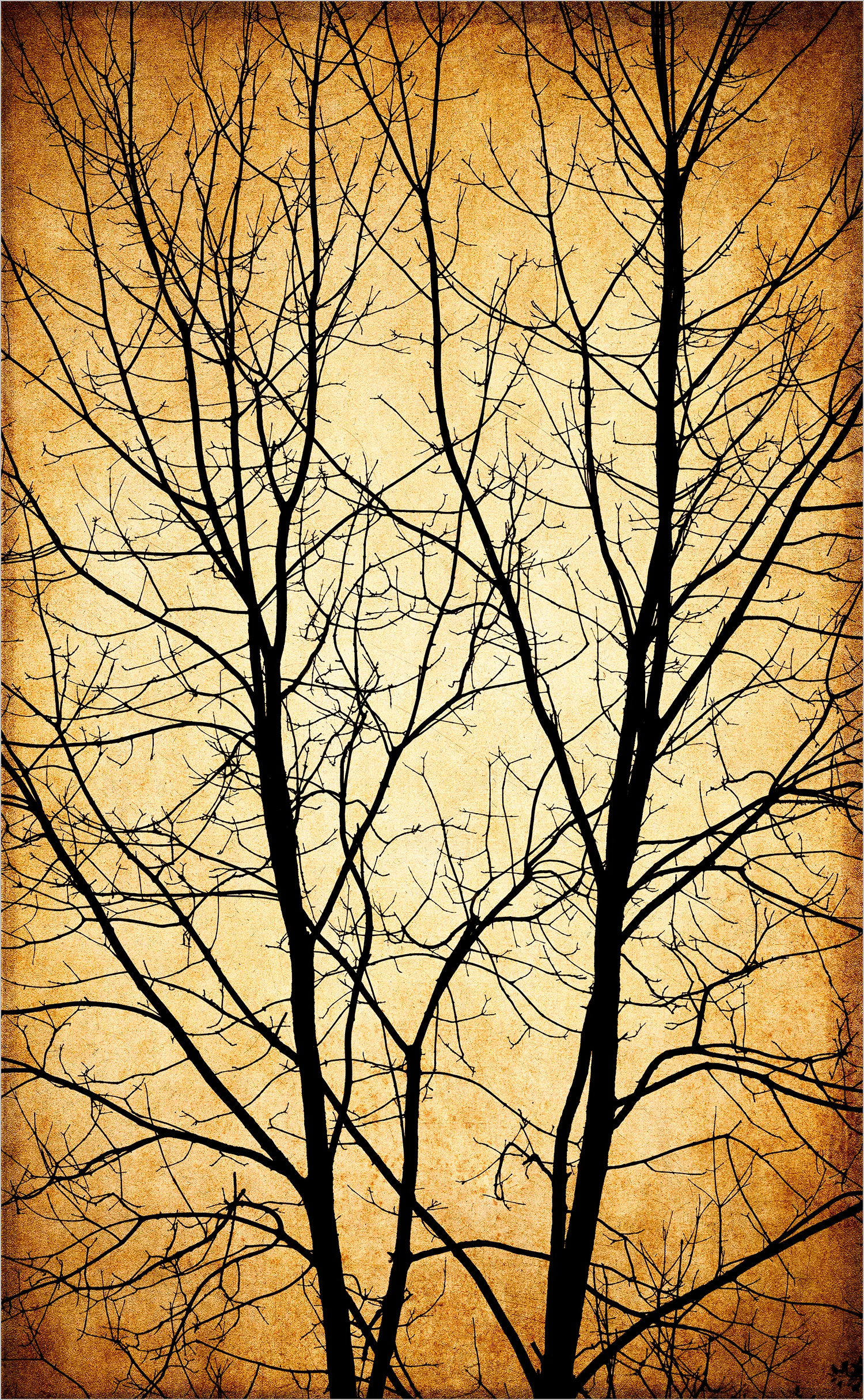Bare Tree I