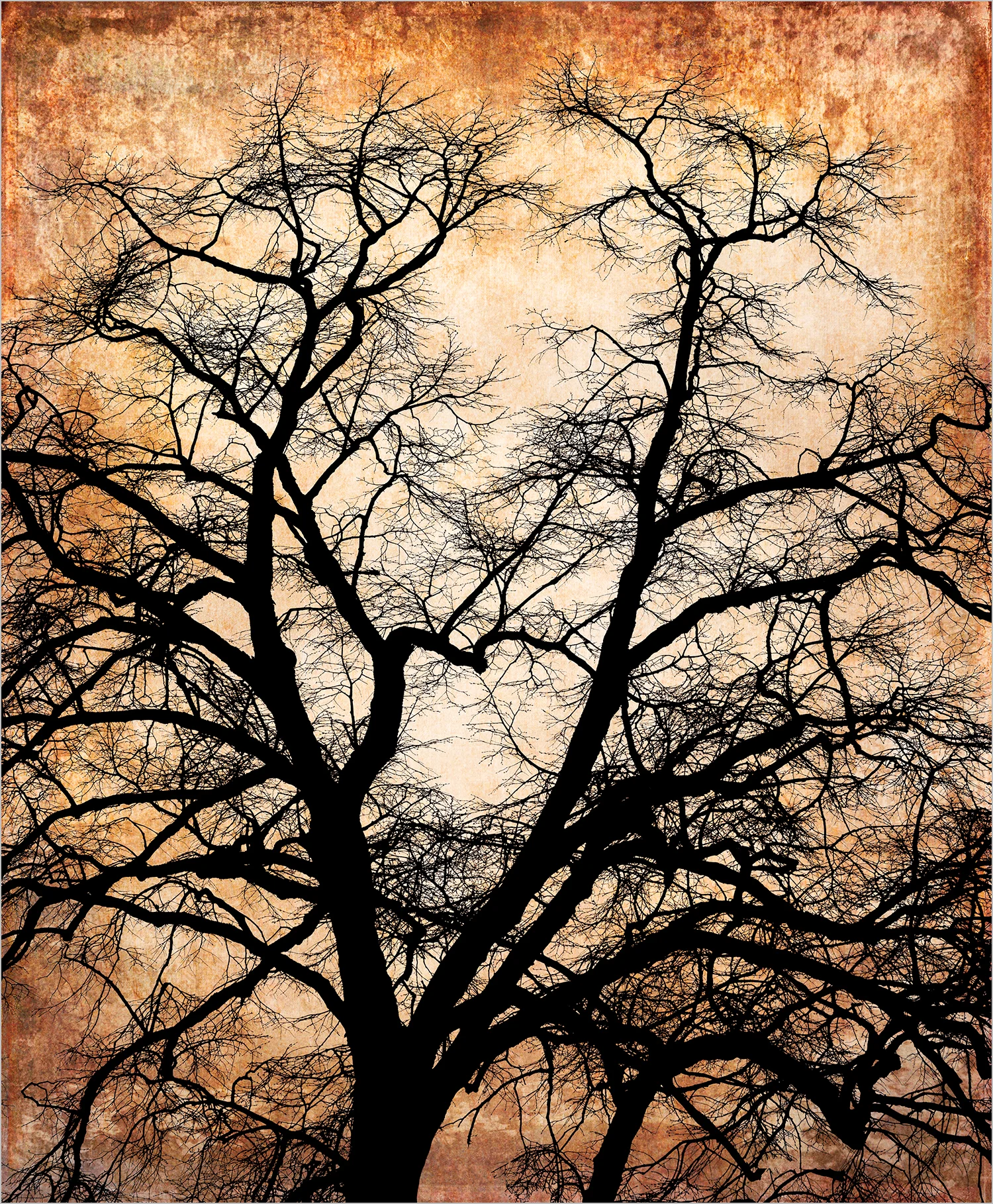 Bare Tree IV