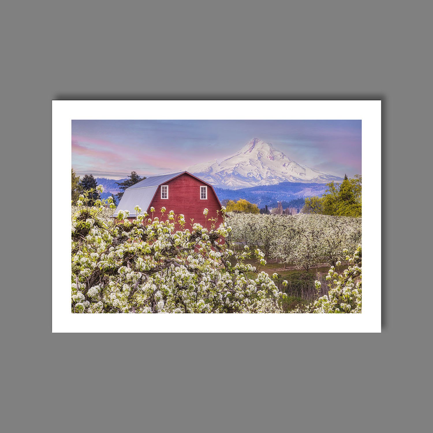 peach orchard print.jpg