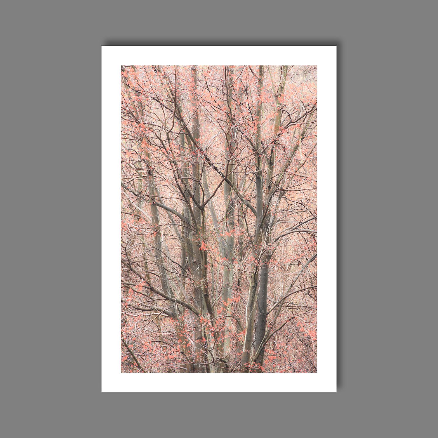 spring print.jpg