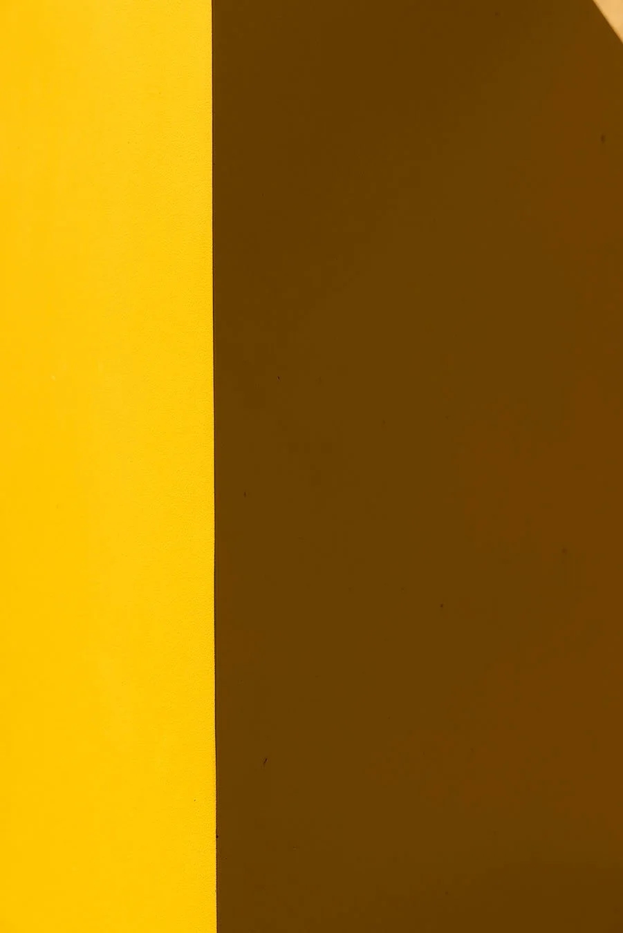 yellow and brown colors