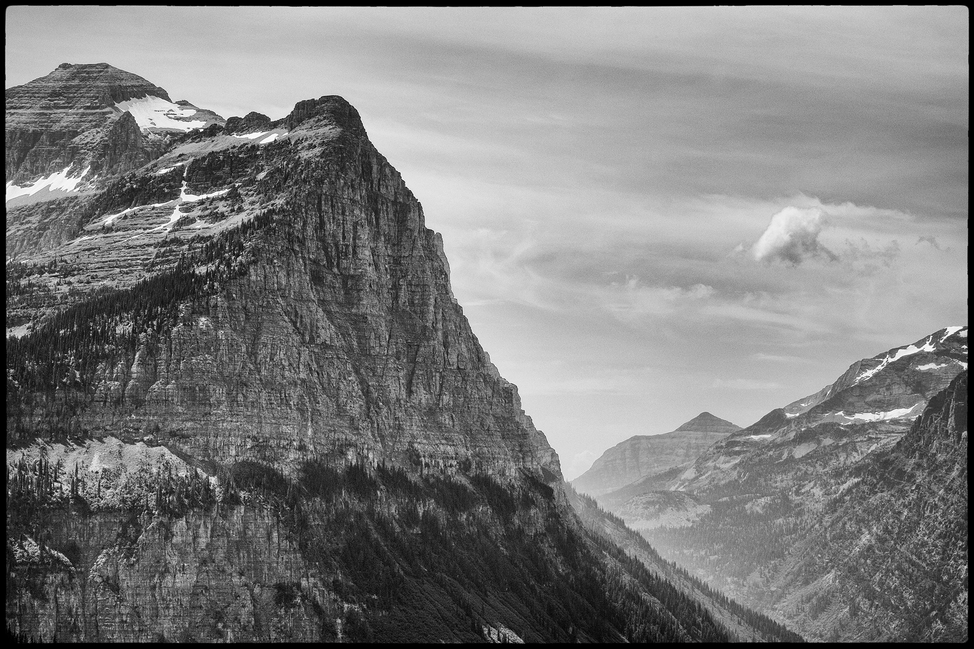 Mountain Beauty