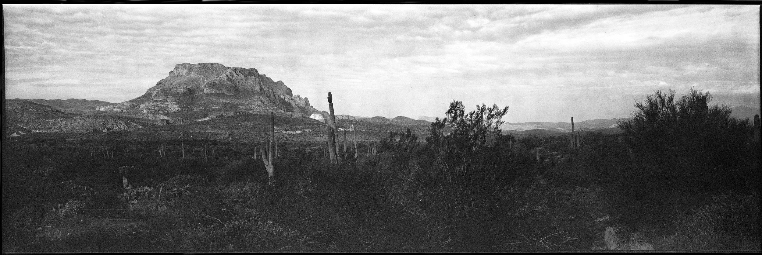 Picketpost Mountain