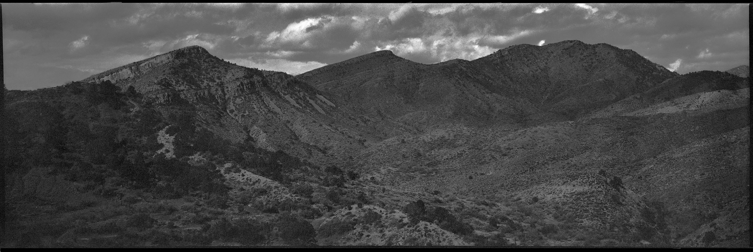 Wild Arizona