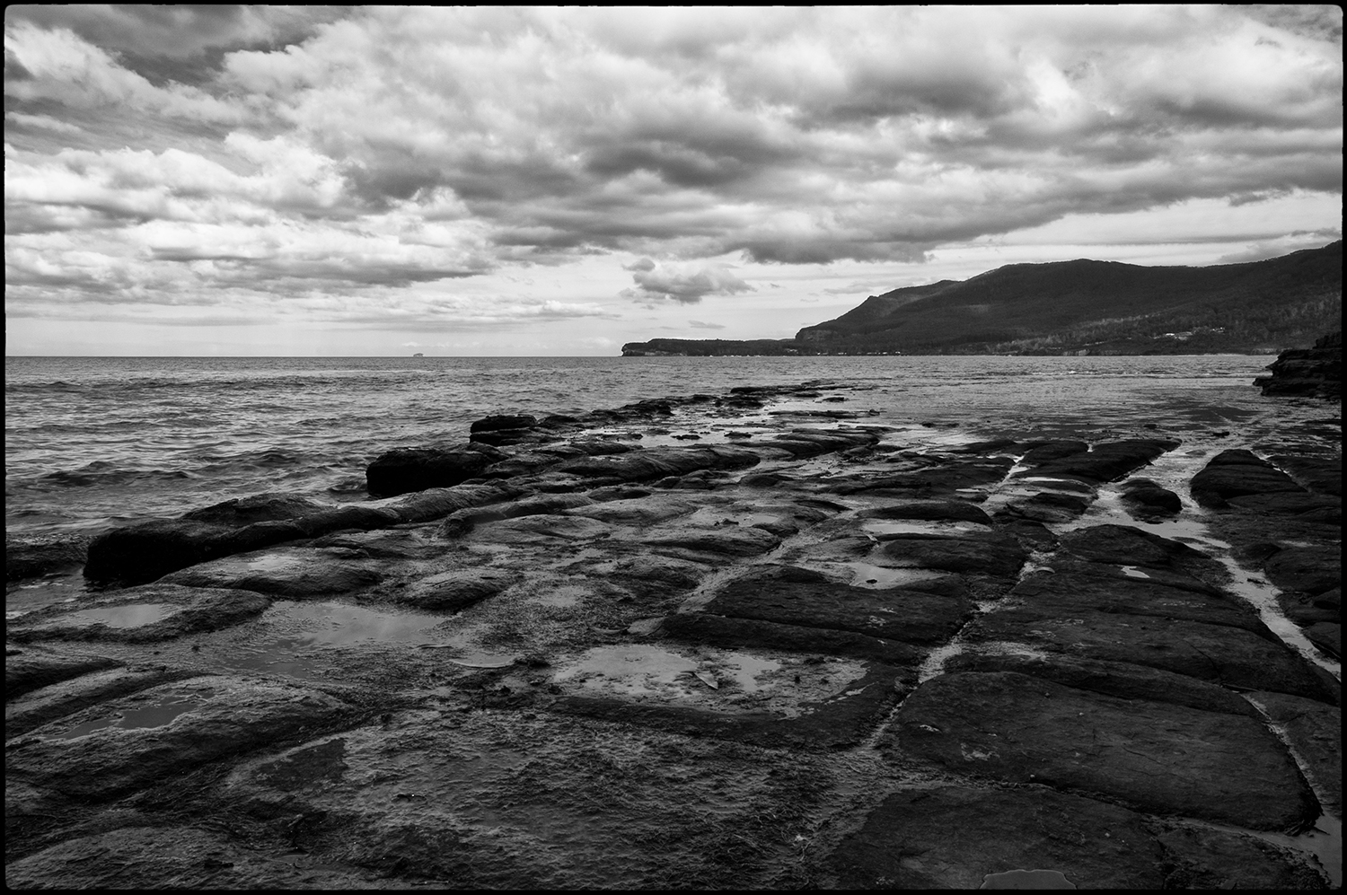 Tessellated Pavement