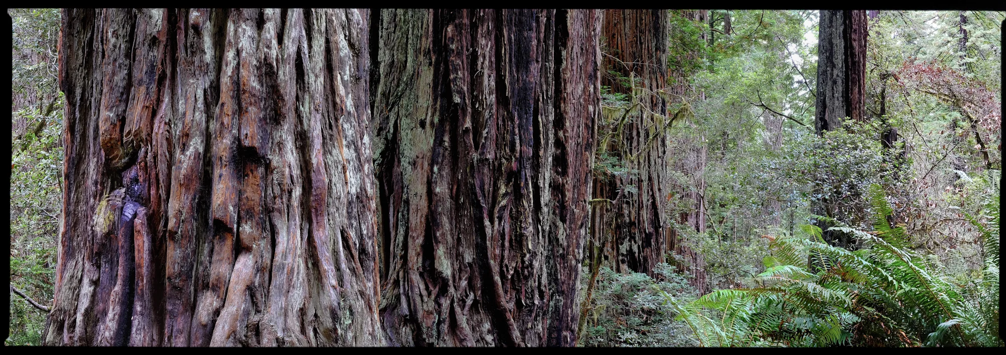 Five images stitched together to create a 6x17 format panorama. This was shot using the 35mm F1.4 XF lens on my Fujifilm X-T1.