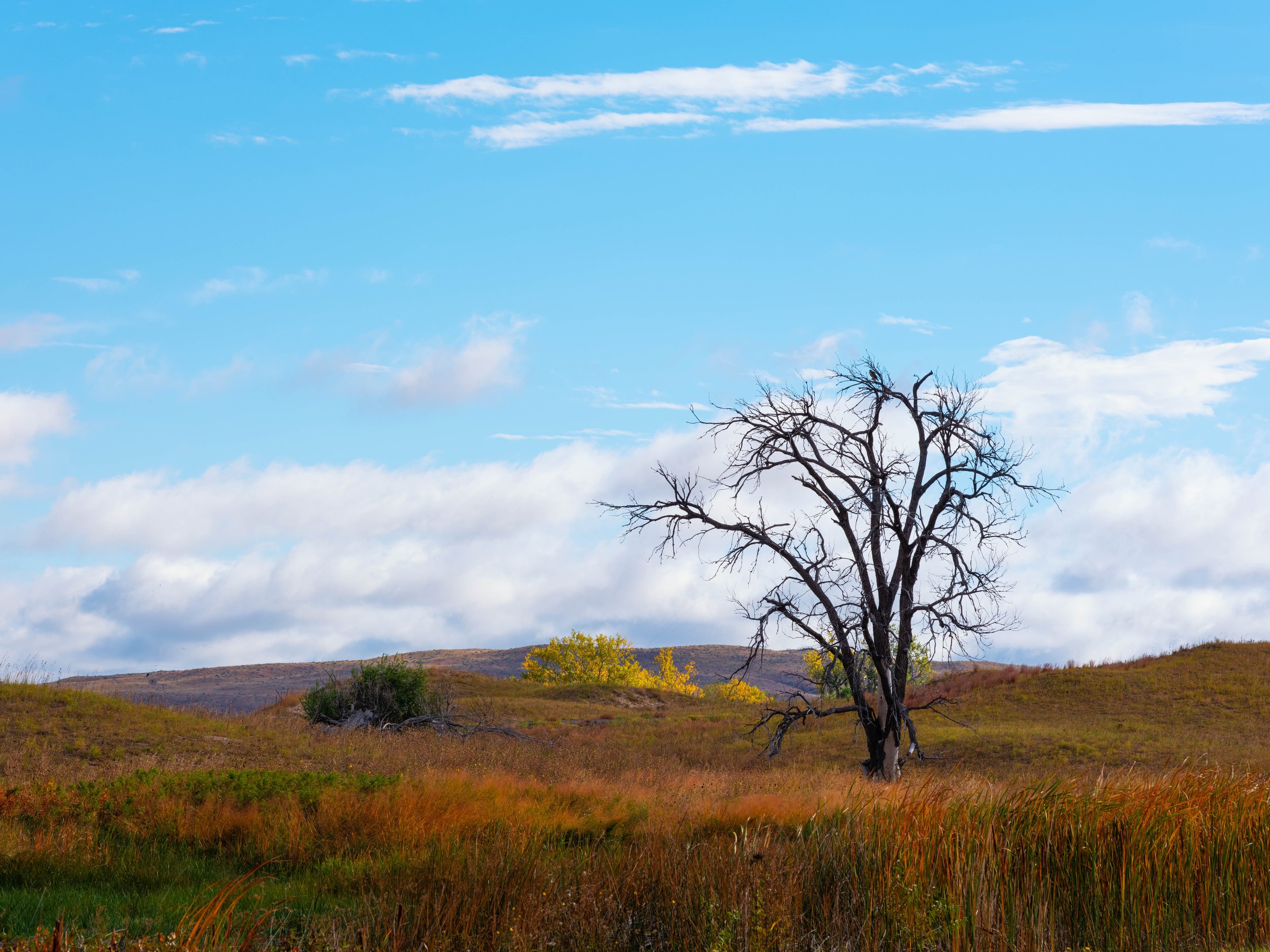 Sand Hills of Nebraska