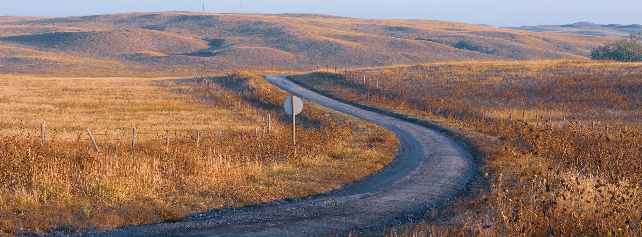 Into the Sandhills