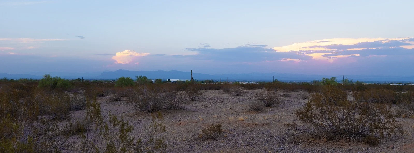 Evening - San Tan Valley