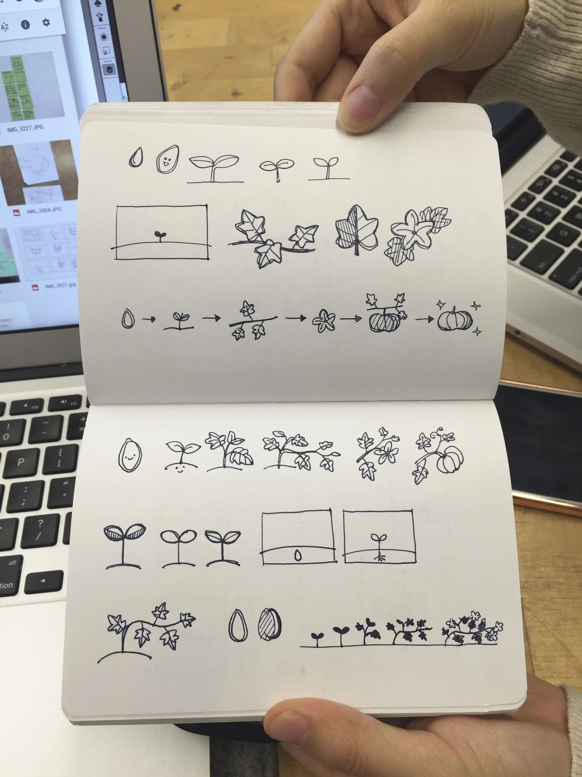Graphic Translations
