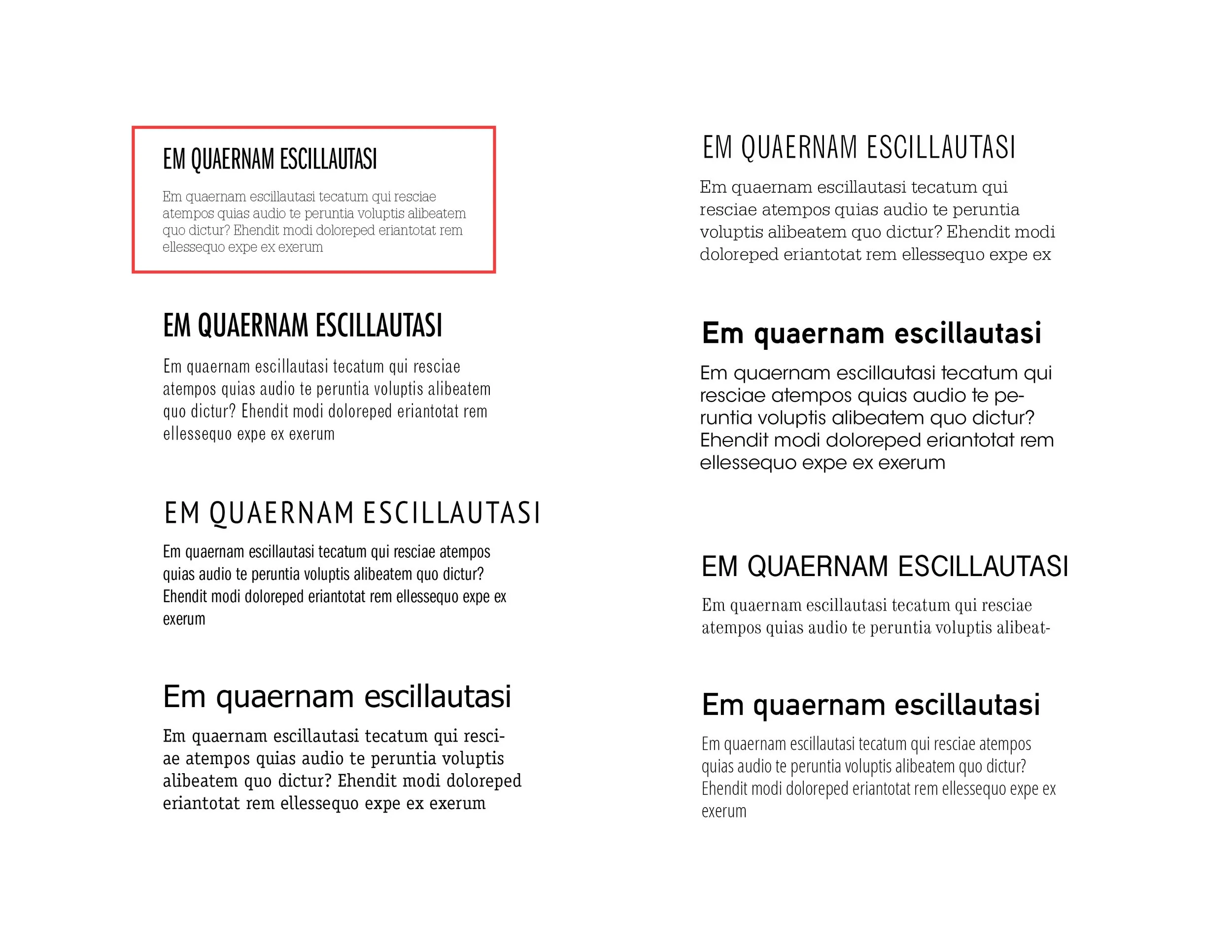 Type Study