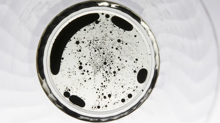 The creative team made all of their own assets by experimenting with materials like ink, ferrofluids, and cornstarch.