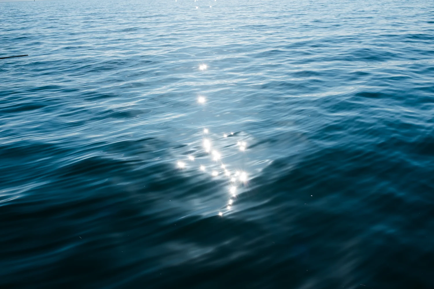 20150407_CrabFishing_248.jpg
