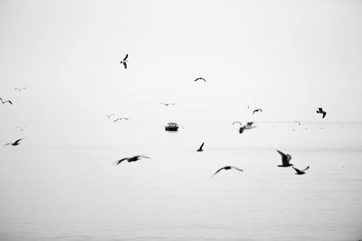 20151024_WestBeach_011.jpg