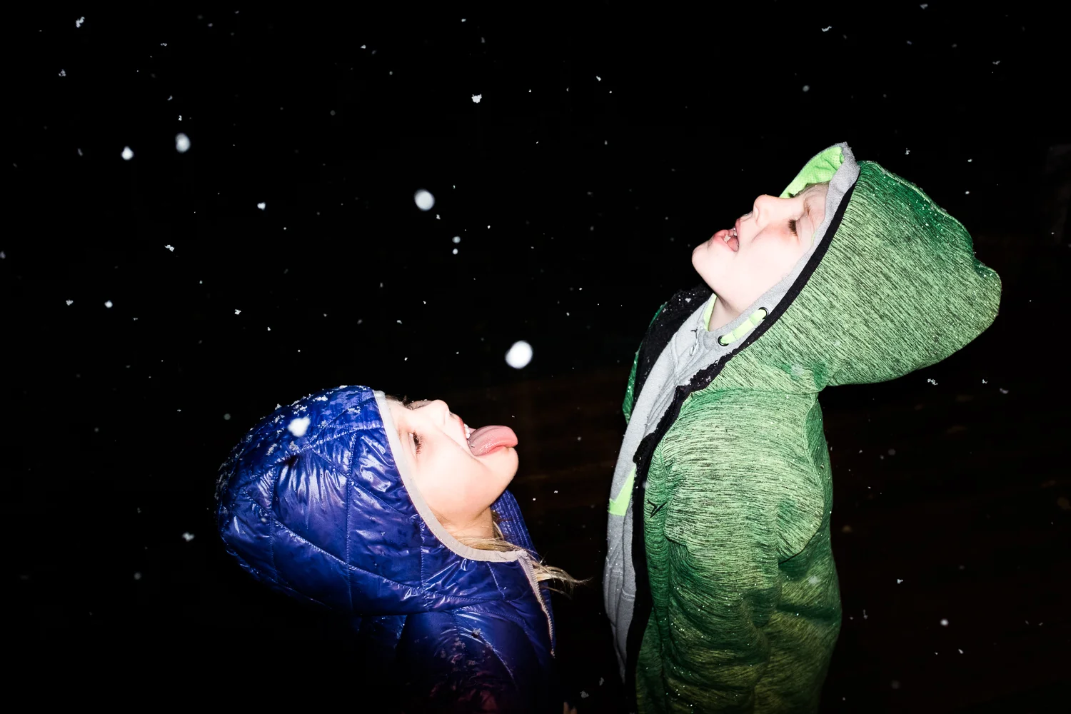 20161205_Snow_012.jpg