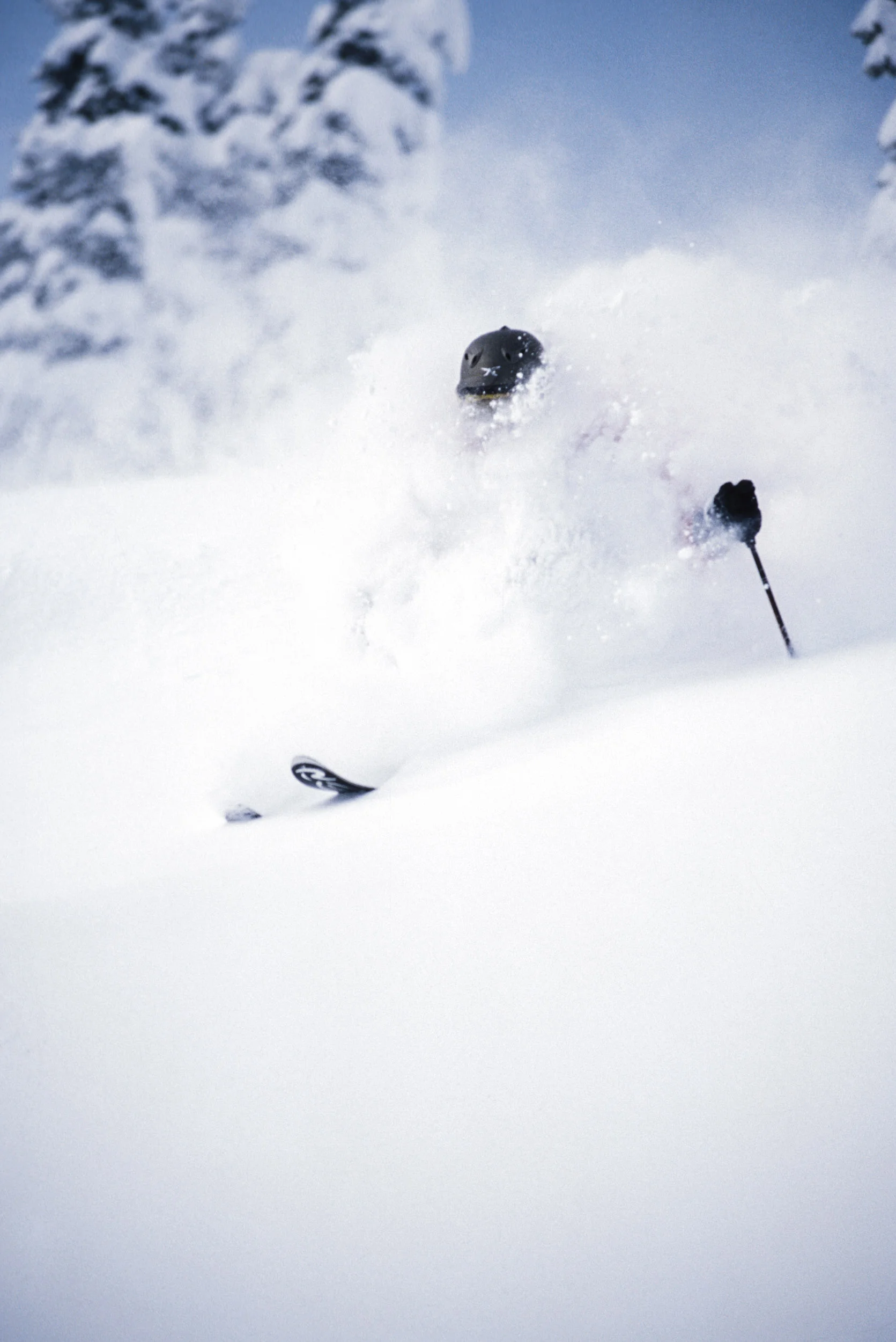 Coleman_Off-Piste05-06_09.jpg