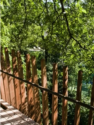 Aviary3.jpg