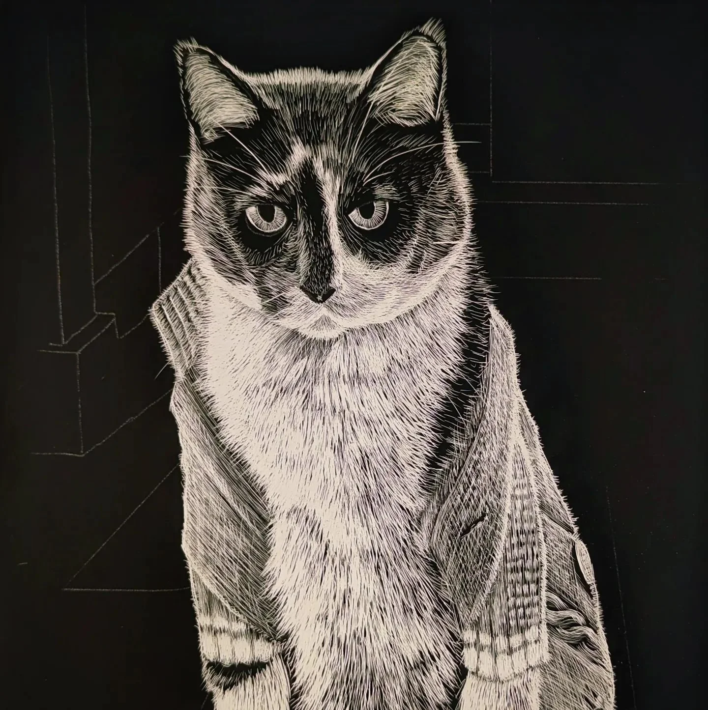 More scratch board art. Old cat in sweater.

#art #artist #scratch #scratchboard #blackandwhite #blackwork #cat #oldcat #sweater