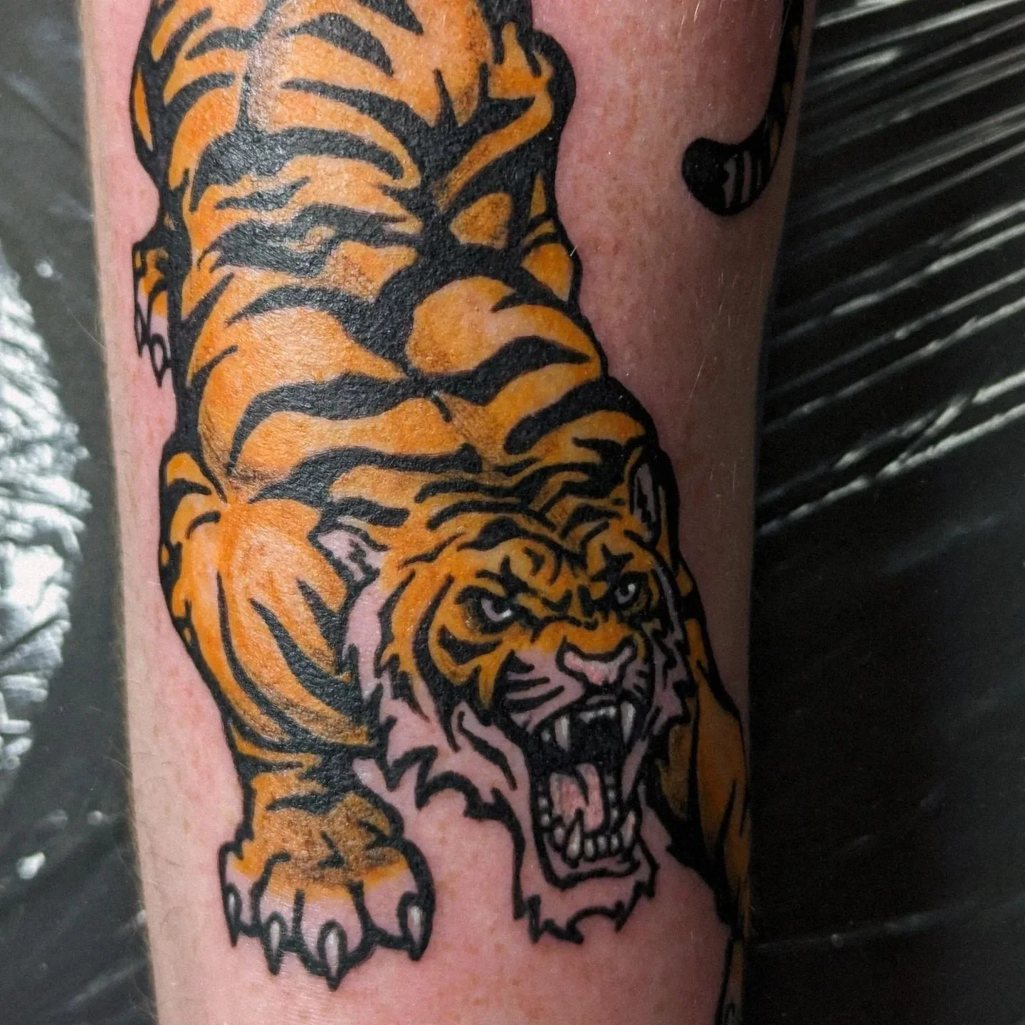 Tiger tattoo for my brother for Christmas! Thanks for coming through @killclynton! 💪🎅

#tiger #tigertattoo #art #artist #tattoo #tattoos #tattooart #tattooartist #tattoostudio #vancouver #eastvan