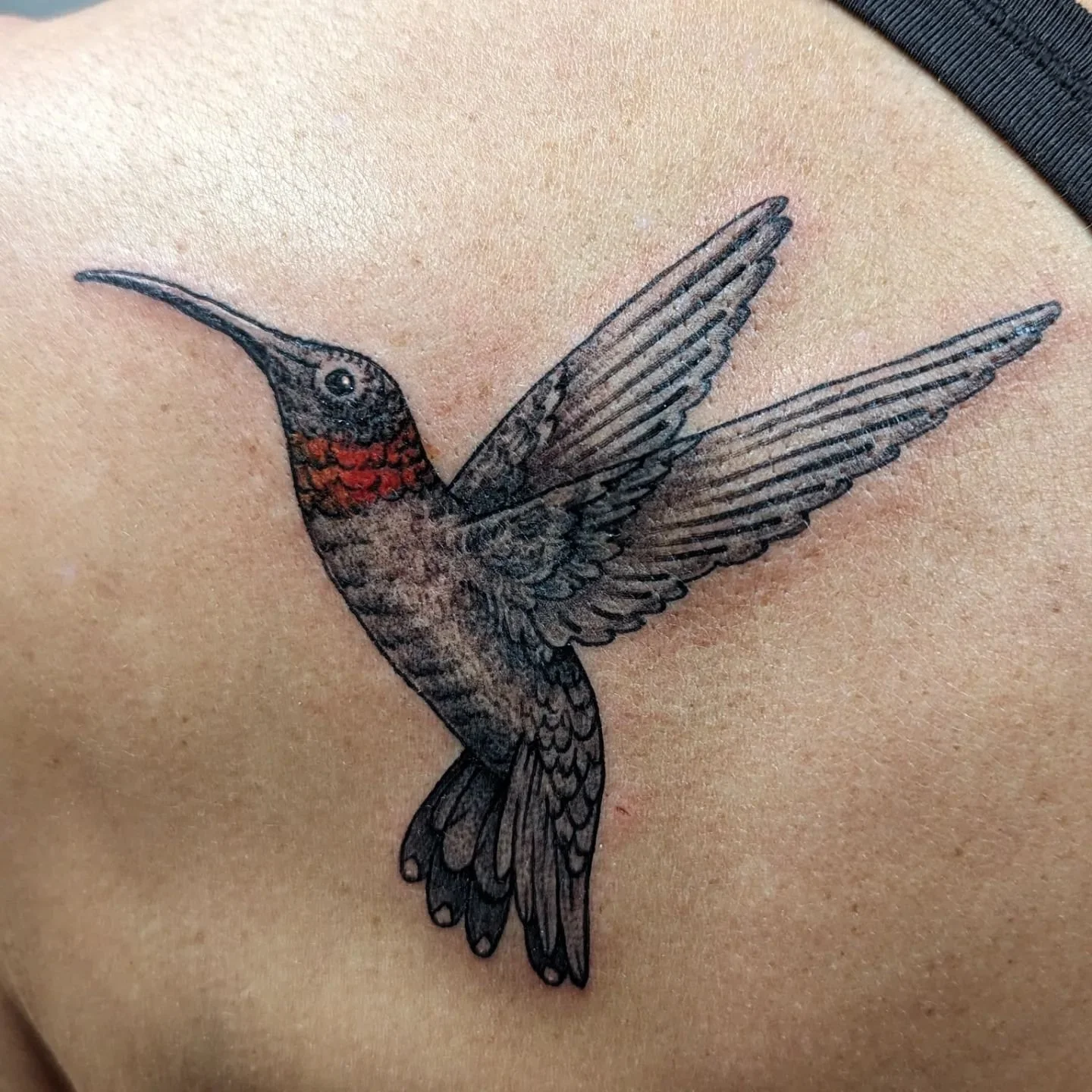 little hummingbird for Monique. Thanks for letting me work on this with you!

#hummingbird #bird #hummingbirdtattoo #birdtattoo #art #artist #tattoo #tattoos #tattooart #tattooartist #tattoostudio #vancouver #eastvan #localartist #benjaminbrooksart