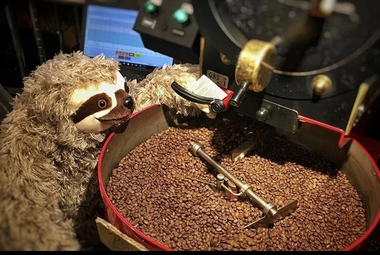 F20CAD77-D1CE-4DC8-AA67-783D365D80FC