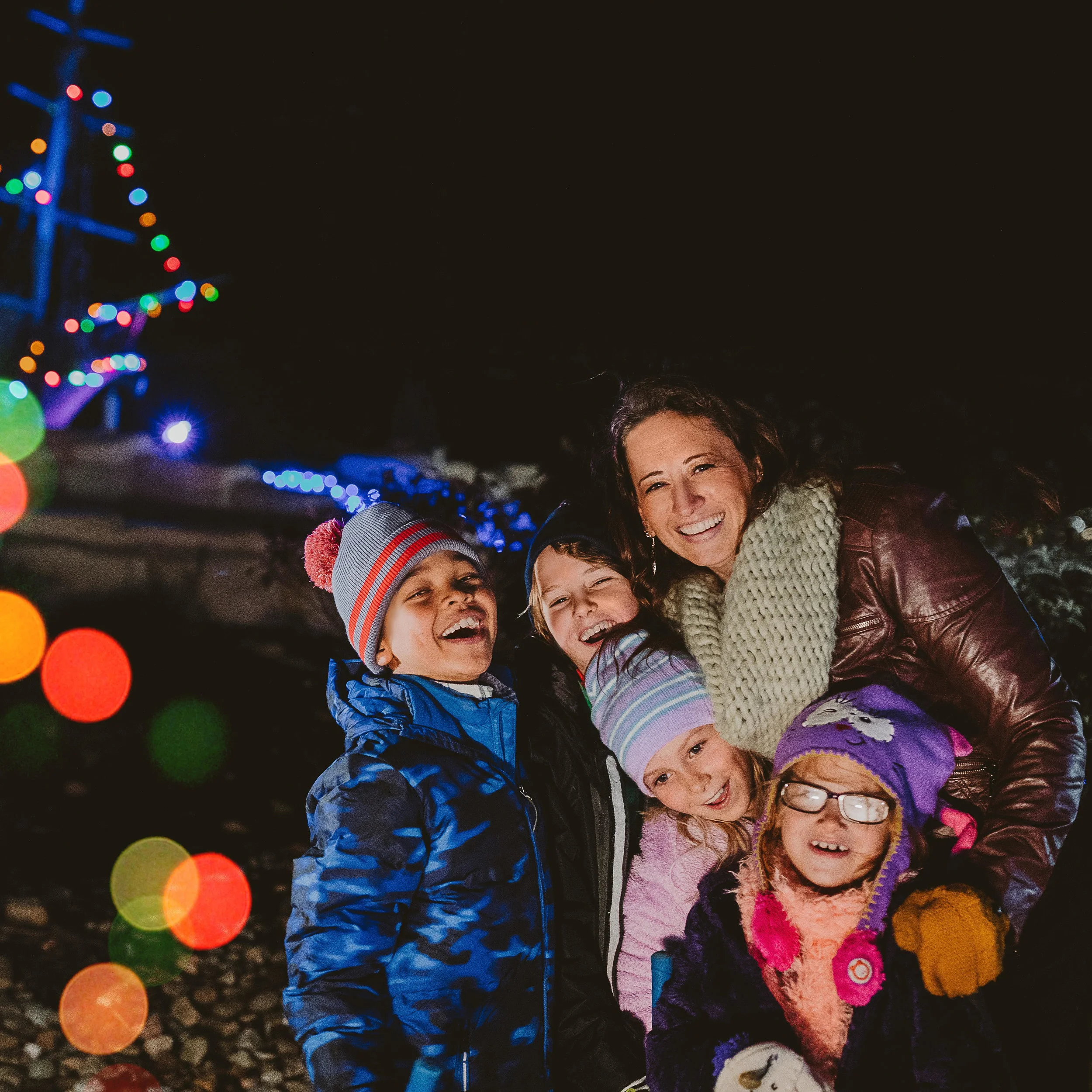 HOLIDAY LIGHTS <br> PICTURE #1