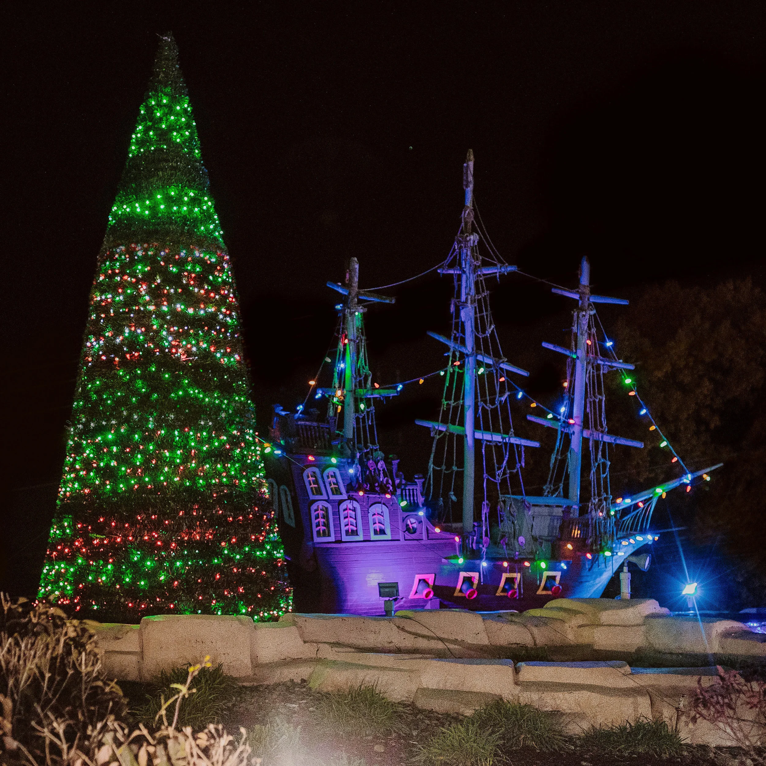HOLIDAY LIGHTS <br> PICTURE #2