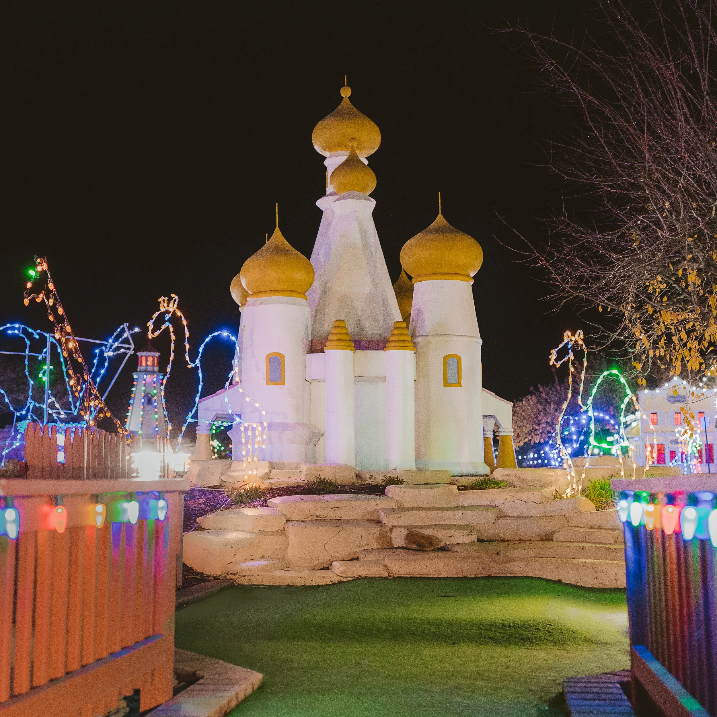 HOLIDAY LIGHTS <br> PICTURE #6