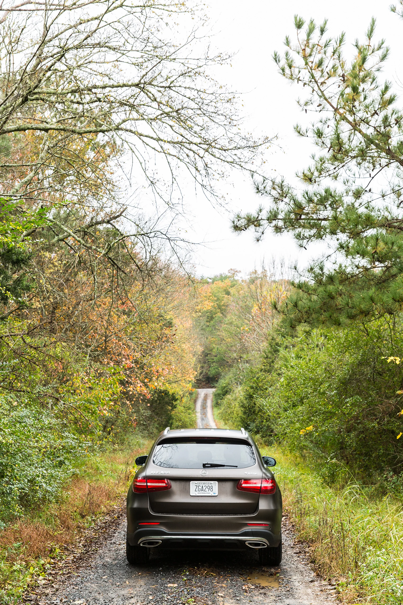 _55A6183ed.jpg