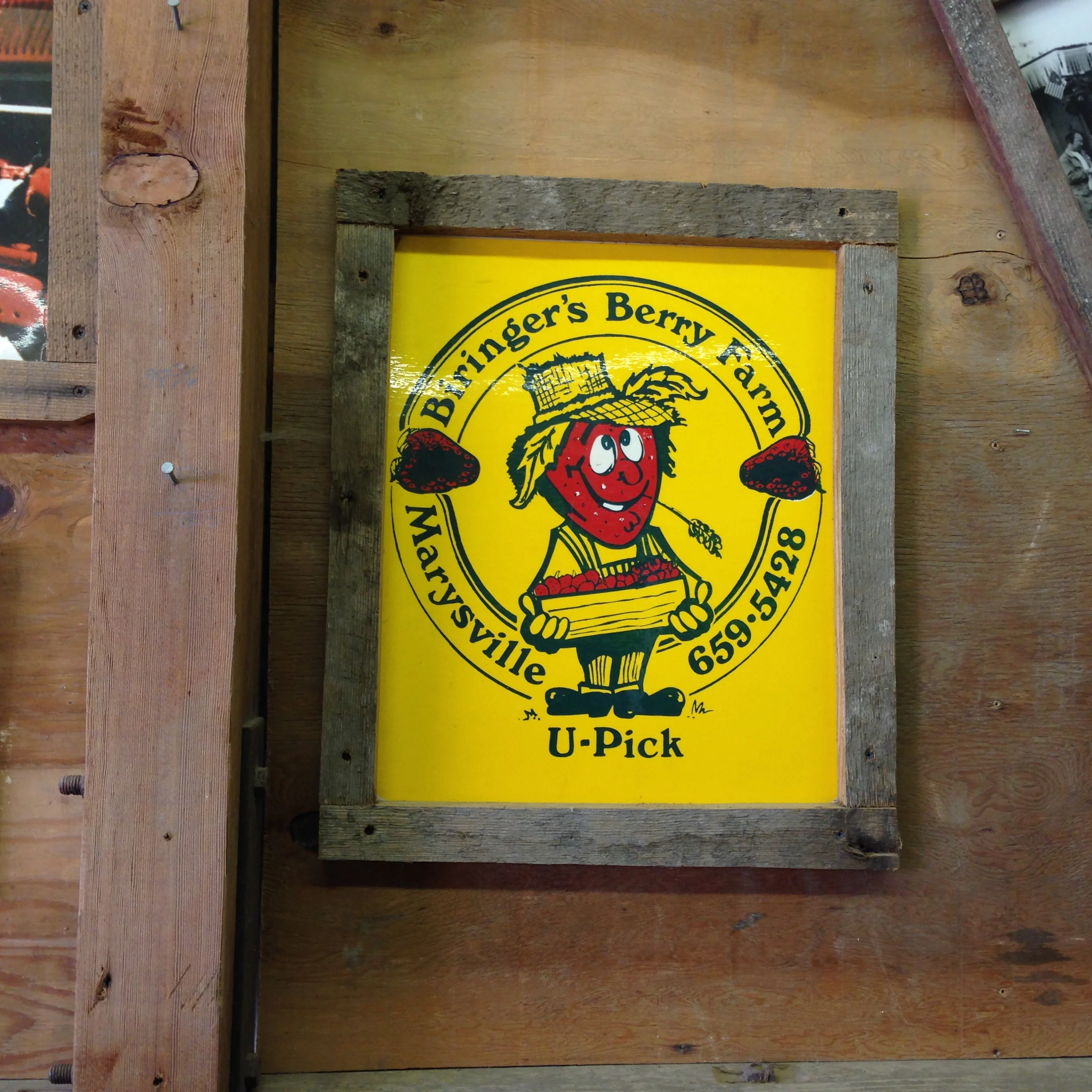 Strawberry picking 2.jpg