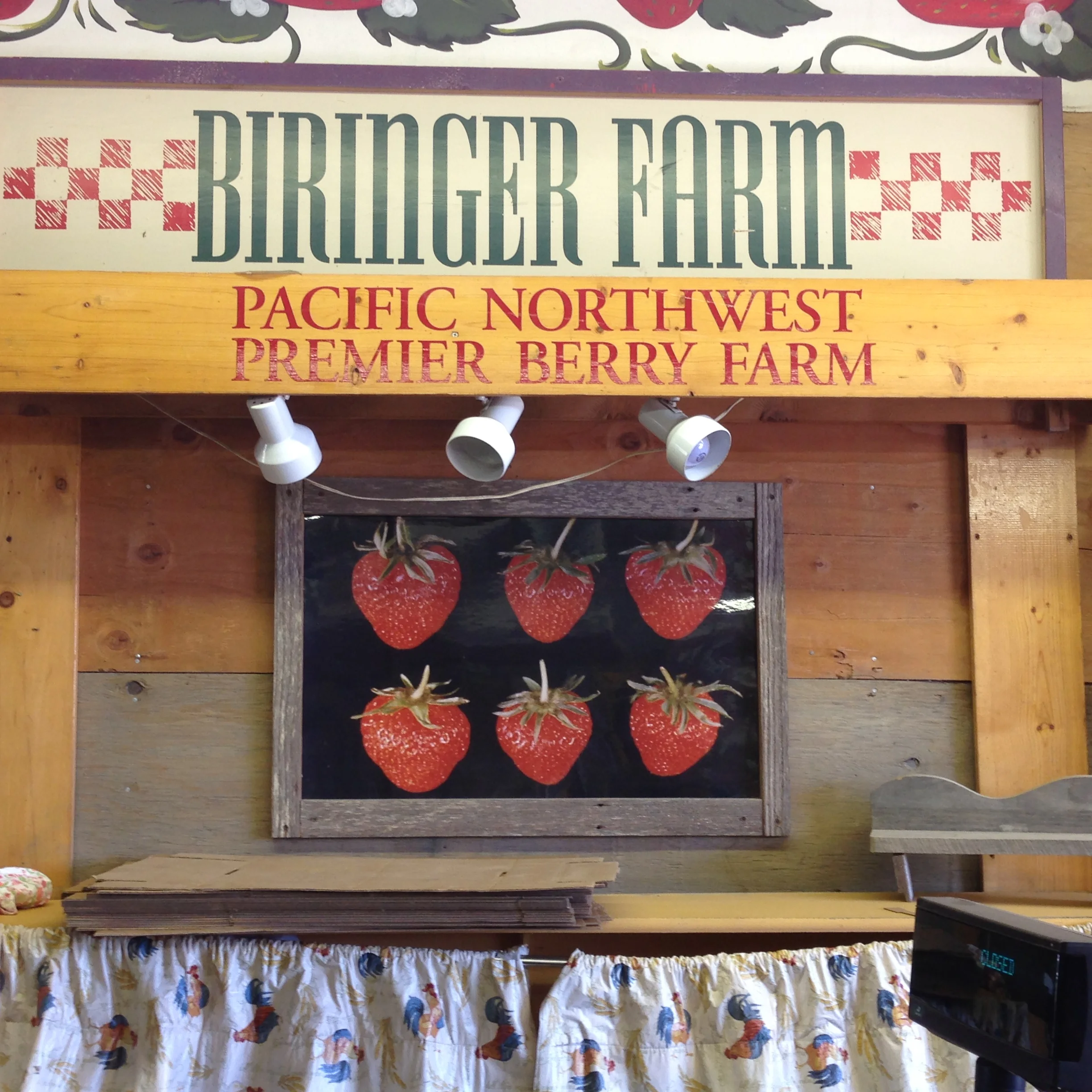 Strawberry picking 3.jpg