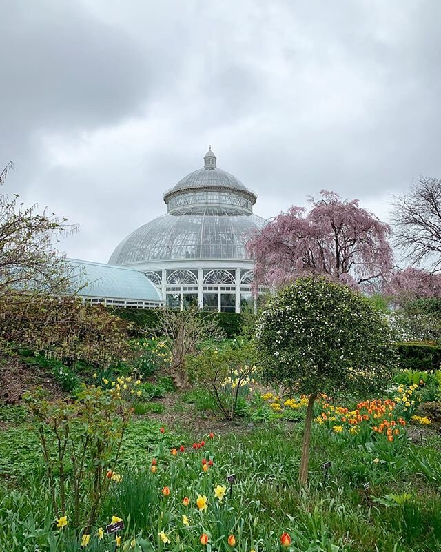 We are spending Easter exploring the New York Botanical gardens. This place is amazing! I am sharing some on my favorite flowers and plants on my Instagram Story.